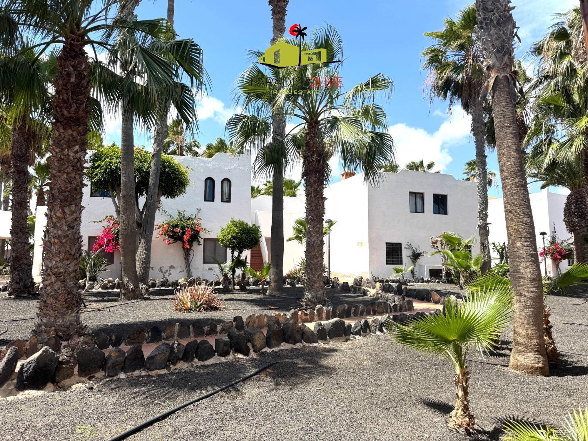 El Caballito De Mar